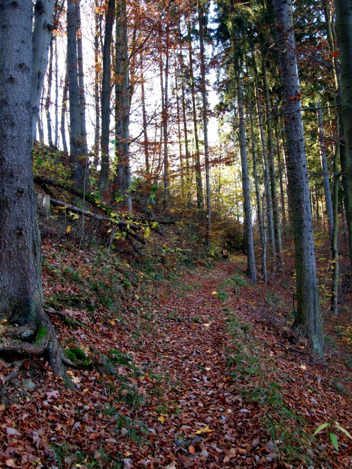 Altenbrak Oberer Philosophenweg (24)