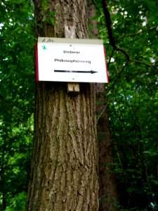 Altenbrak Unterer Philosophenweg (27)