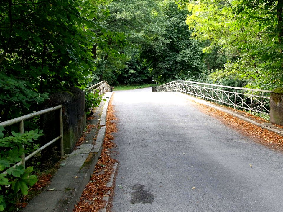 Altenbrak obere Bodebruecke (3)