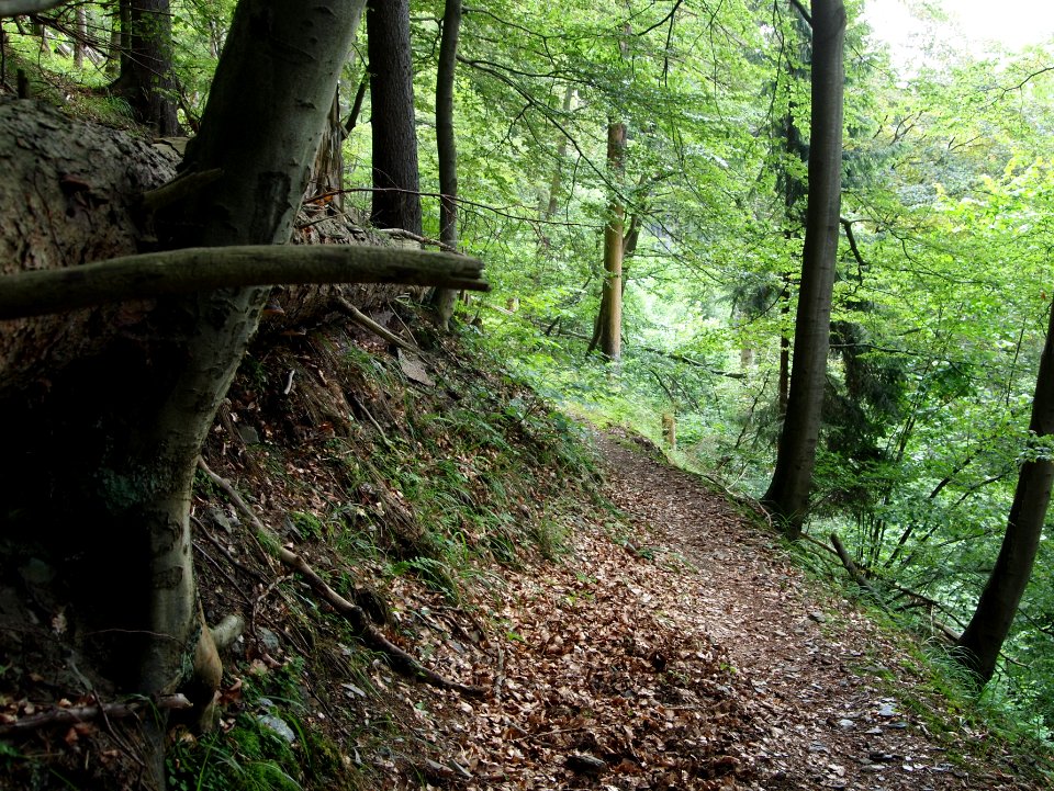 Altenbrak Unterer Philosophenweg (9)