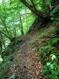 Altenbrak Unterer Philosophenweg (14)