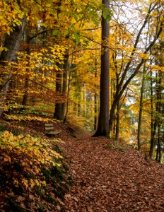 Altenbrak Unterer Philosophenweg (30)
