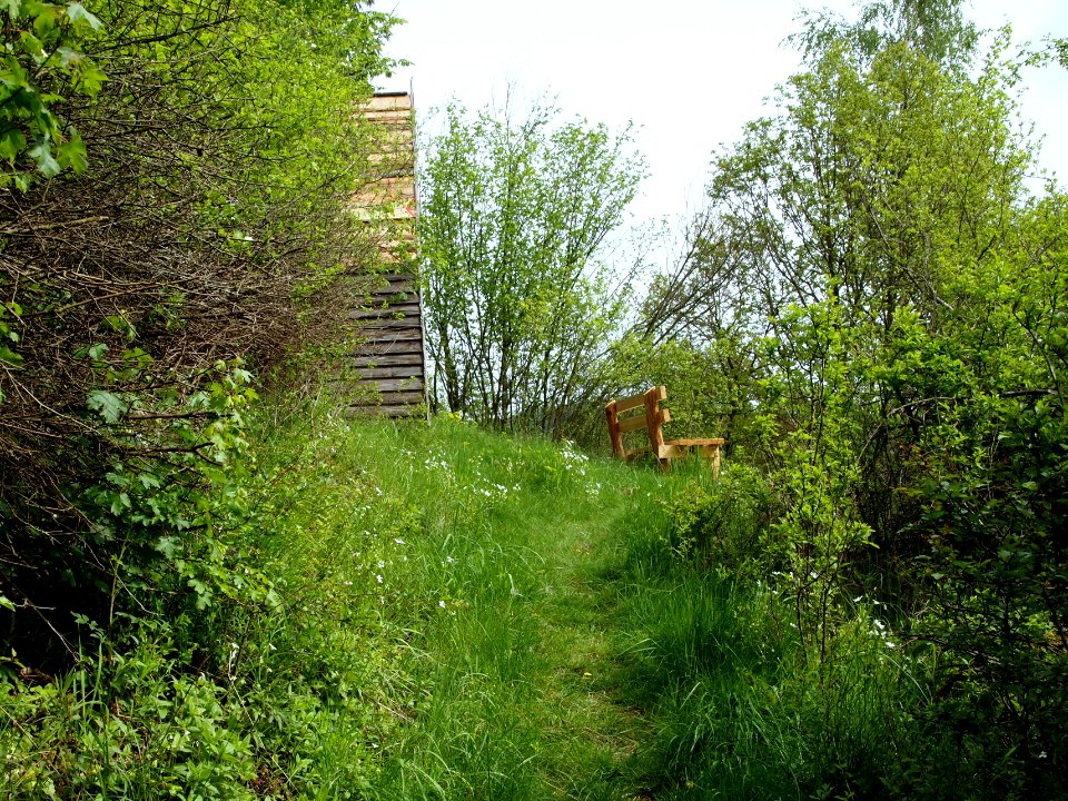Altenbrak Wetzesteinklippe (13)