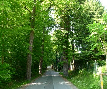 Alte Rieser Strasse