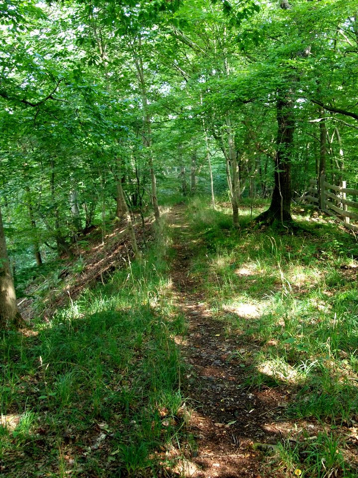 Altenbrak Oberer Philosophenweg (6)