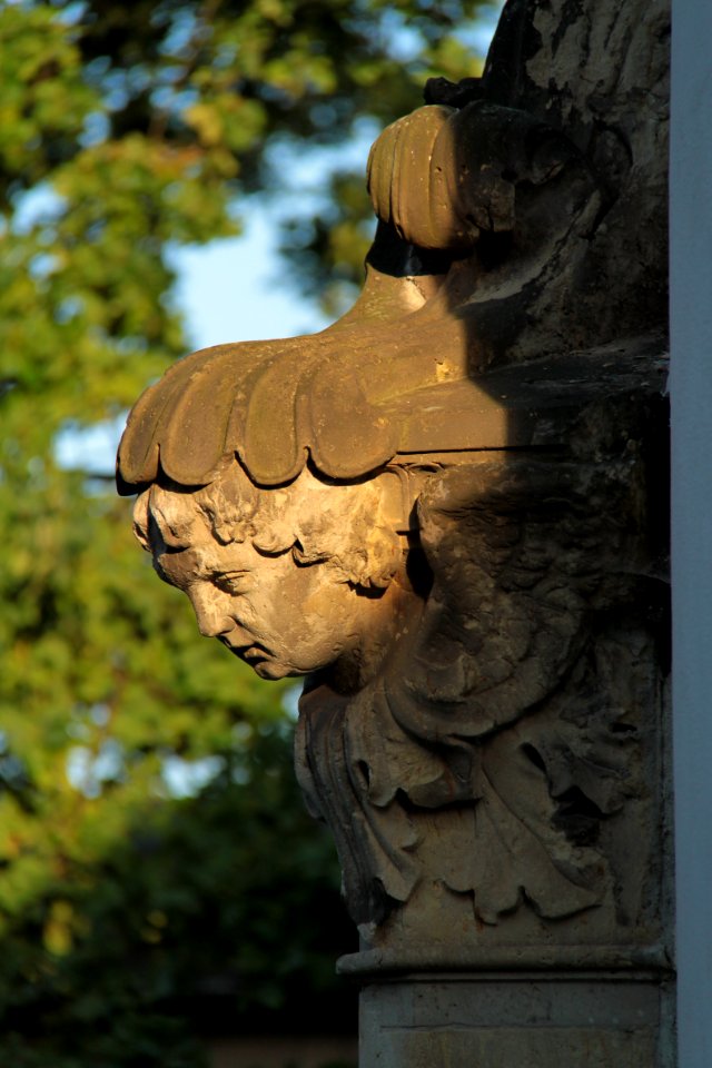 Alter katholischer Friedhof Dresden 2012-08-27-0023