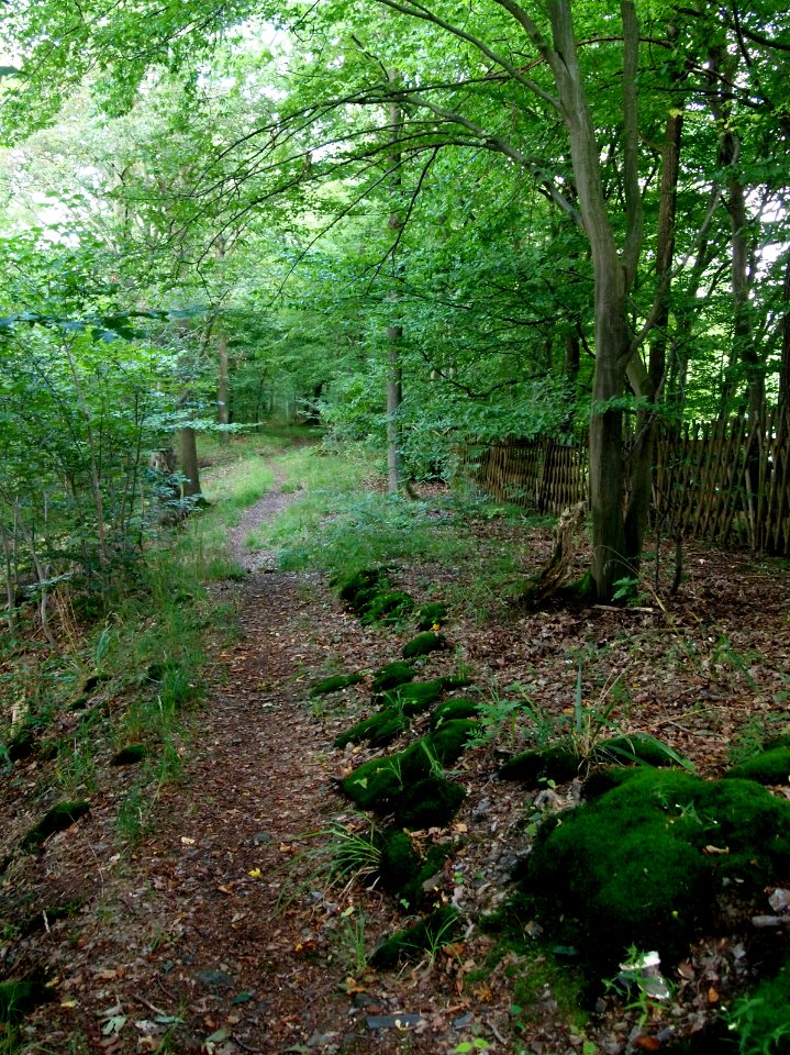 Altenbrak Oberer Philosophenweg (5)