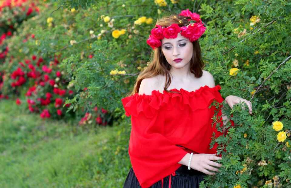 Roses red beauty
