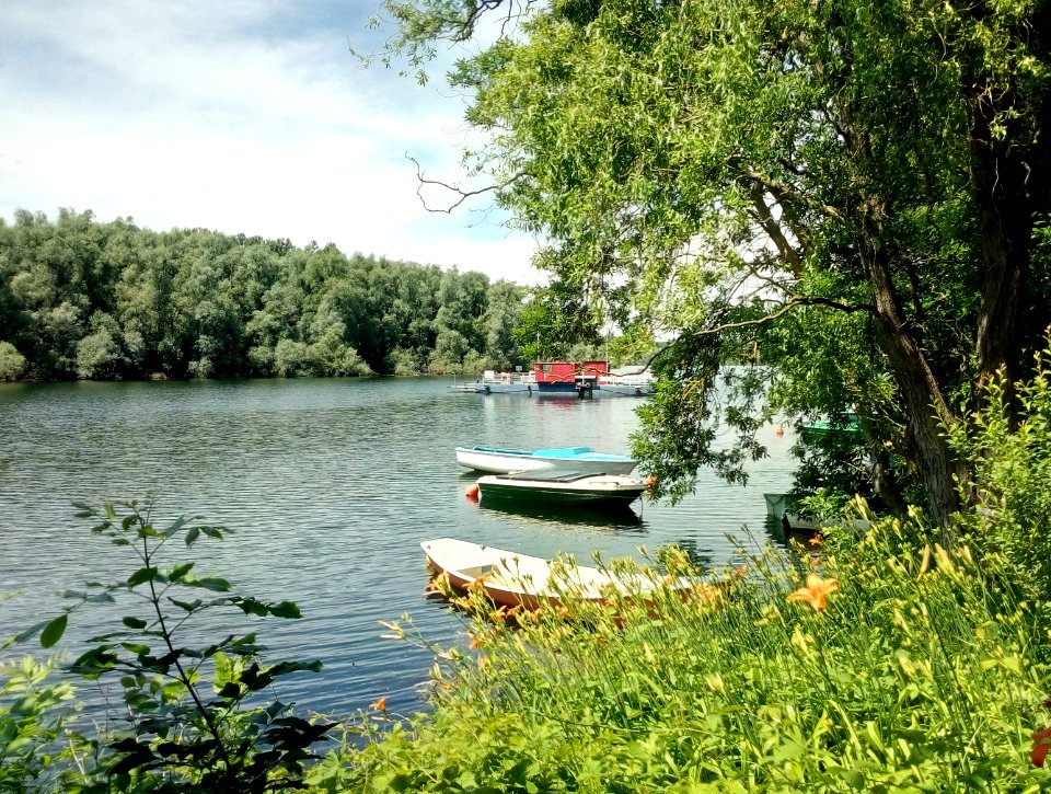 Alter Hafen, Leopoldshafen