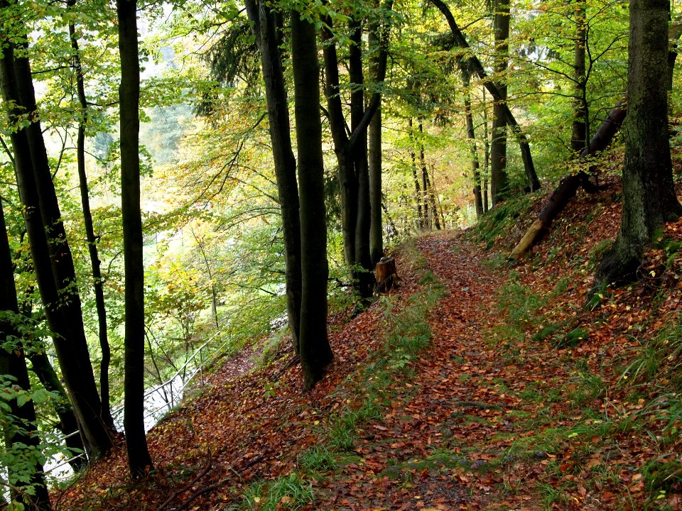 Altenbrak Oberer Philosophenweg (23)