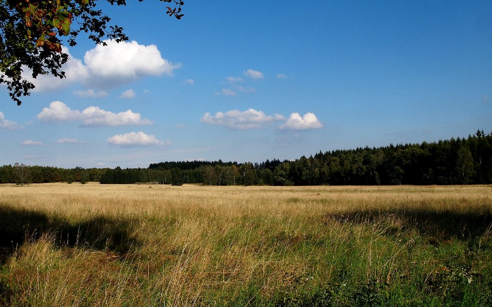 Altenbrak Todtenrode
