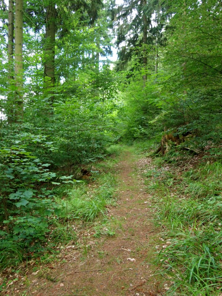Altenbrak Unterer Philosophenweg (2)