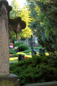 Alter katholischer Friedhof Dresden 2012-08-27-0026