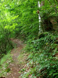 Altenbrak Unterer Philosophenweg (3)