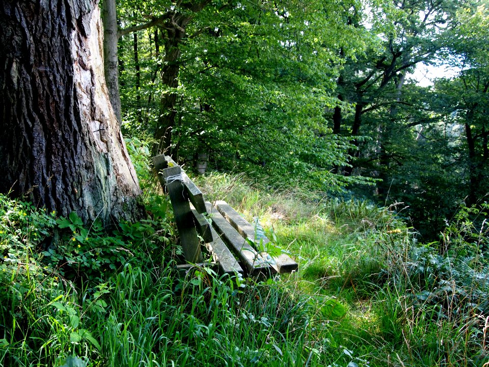 Altenbrak Oberer Philosophenweg (4)