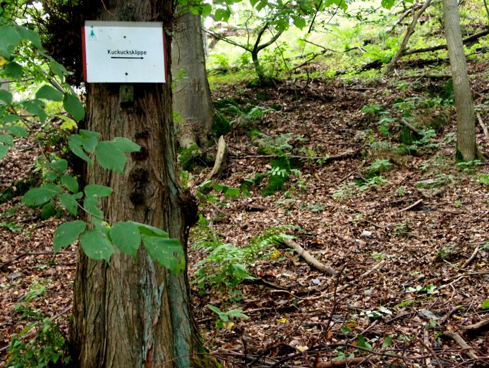 Altenbrak Schild Kuckucksklippe
