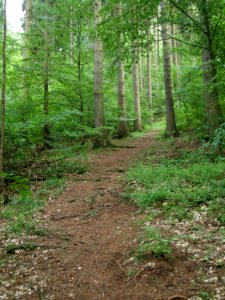 Altenbrak Unterer Philosophenweg photo