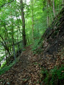 Altenbrak Unterer Philosophenweg (15)