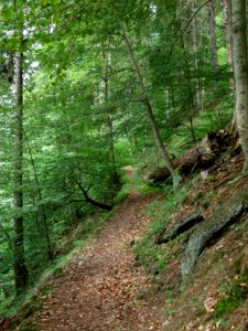 Altenbrak Unterer Philosophenweg (8)