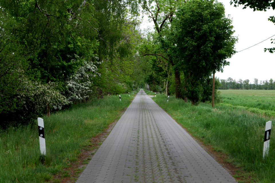 Alte Saatzucht Fehrbellin 2020-05-15 01