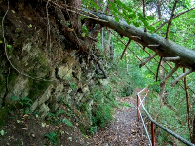 Altenbrak Unterer Philosophenweg (29)