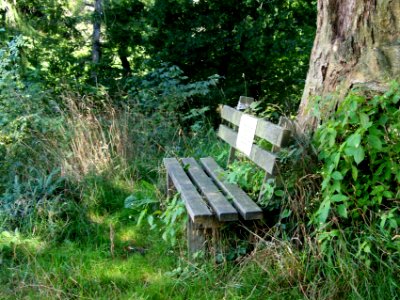 Altenbrak Oberer Philosophenweg (3)