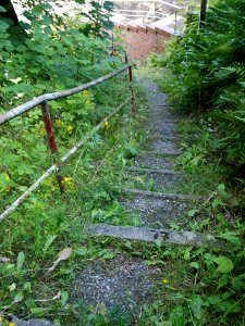 Altenbrak Unterer Philosophenweg (28)