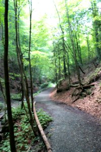 Altenbachklamm (12) photo