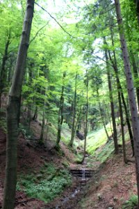 Altenbachklamm (7)