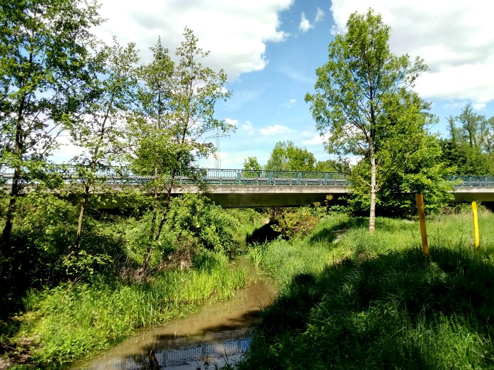 Alte Pfinz, Brücke Bundesstraße 36 bei Graben-Neudorf (2)