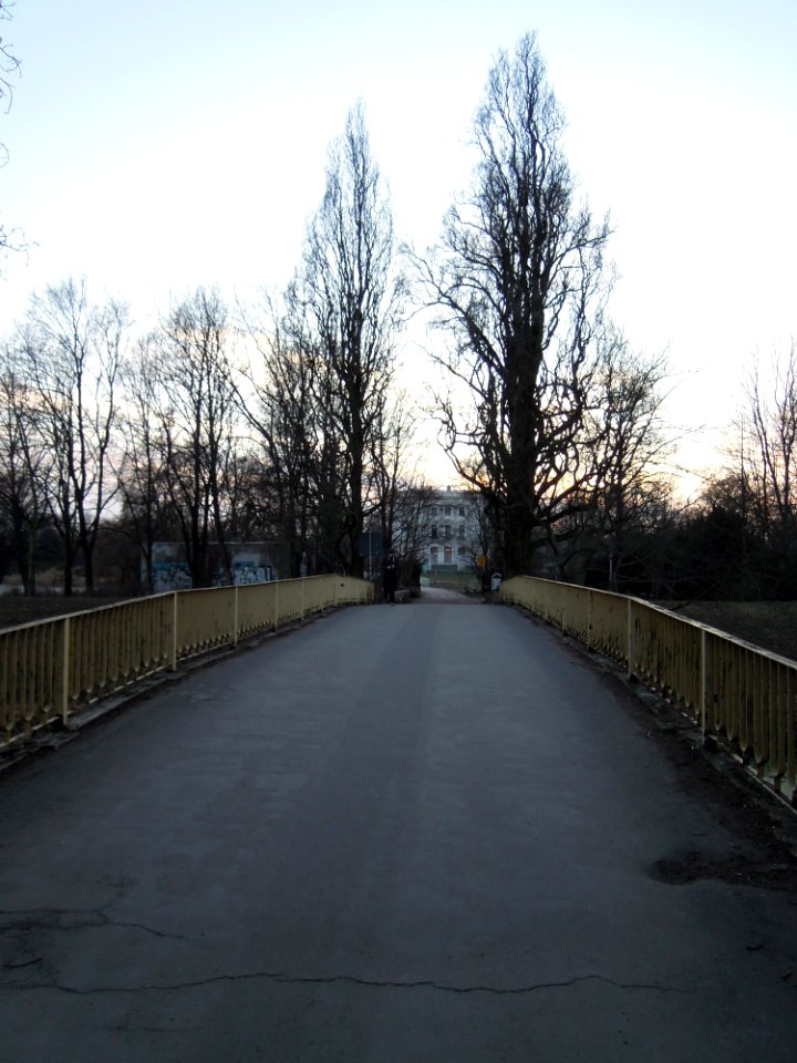 Alte Parkwegbrücke -Draufsicht- die zwischen Weißem Haus und Parkgaststätte die Pleiße quert Anfang März 2018