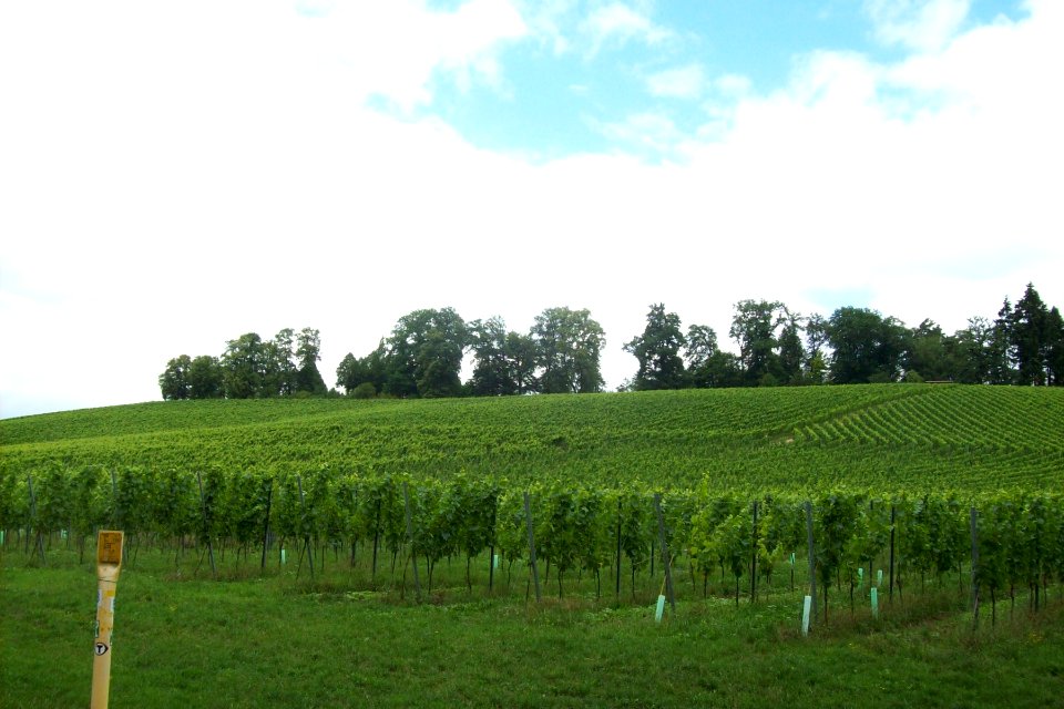 Altarberg von Sueden 01