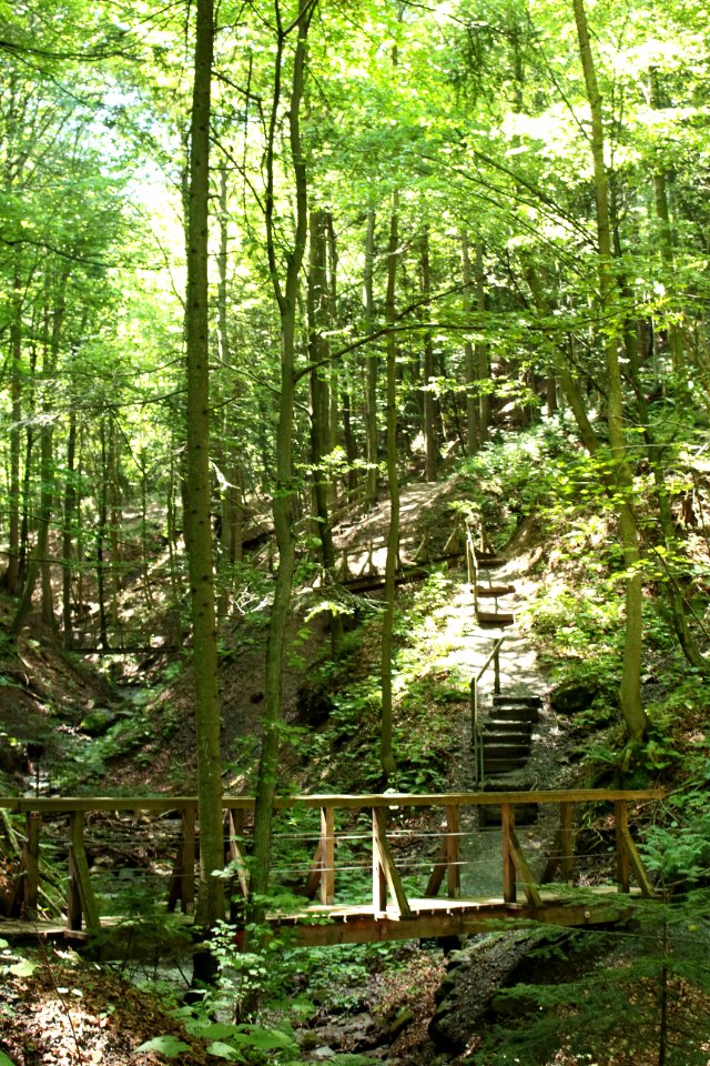 Altenbachklamm (15)