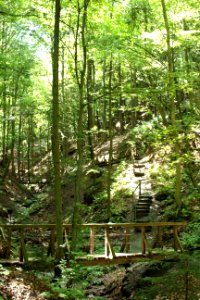 Altenbachklamm (15)