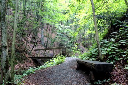 Altenbachklamm (11)