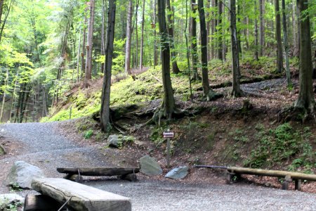 Altenbachklamm (1)
