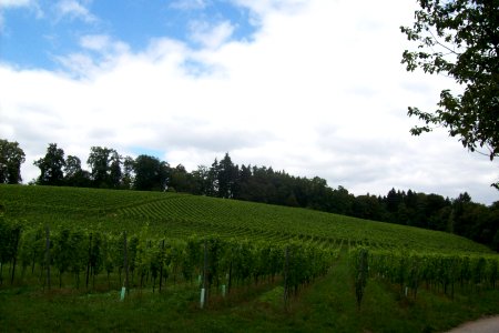 Altarberg von Sueden 02