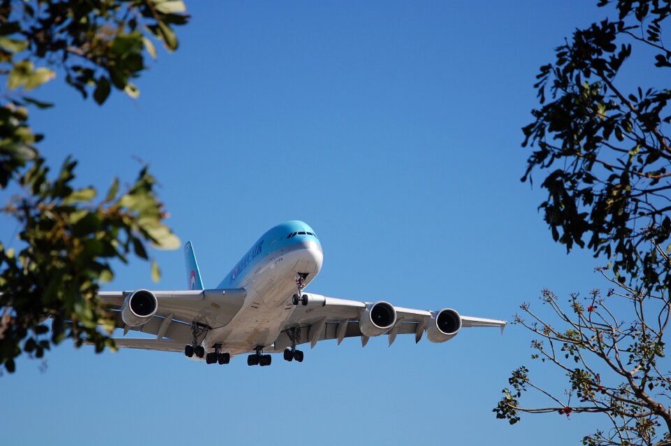 Airplane flight transport photo