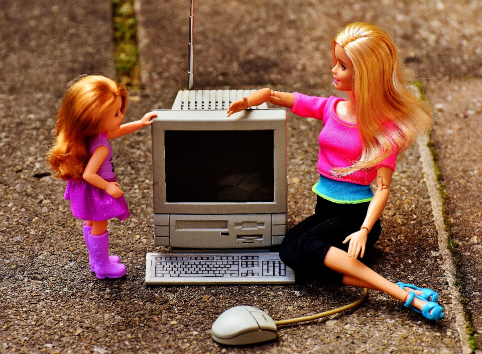 Internet security police