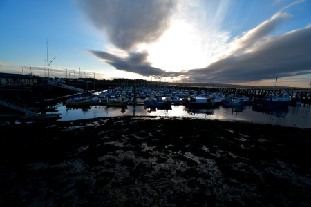 Amble (2021-05-26) 11
