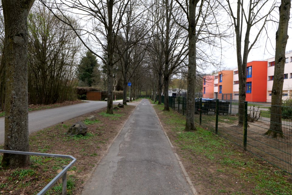 Am Seebach Friedberg 2021-04-02 01