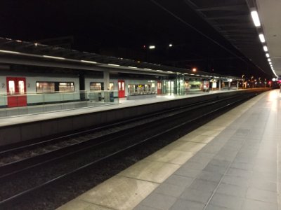 AM Desiro en gare de Bruges 5 photo