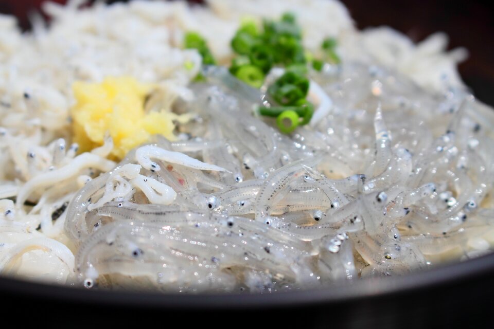 Shizuoka bowl of rice topped with sashimi gourmet