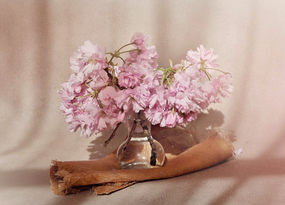 Pink pink flowers vase