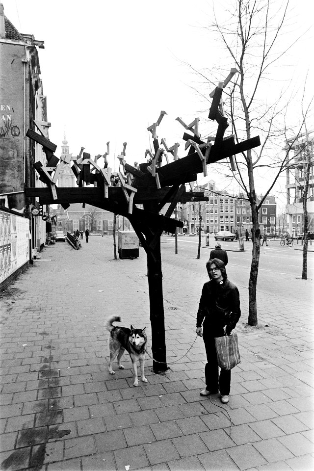 Alternatieve boom in Jodenbreestraat (Amsterdam), Bestanddeelnr 930-6755
