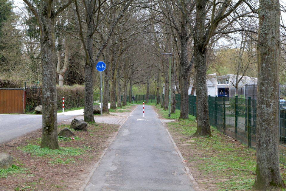 Am Seebach Friedberg 2021-04-02 02