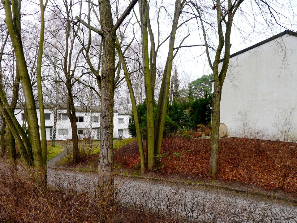 Am Rupenhorn 4-4H (Berlin-Westend)