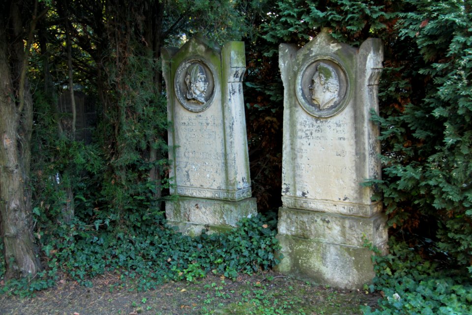 Alter katholischer Friedhof Dresden 2012-08-27-9966
