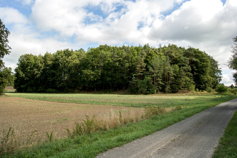 Alter Keller (D 241) 23