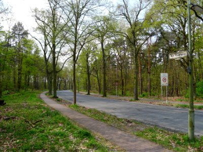 Am Postfenn Berlin-Grunewald